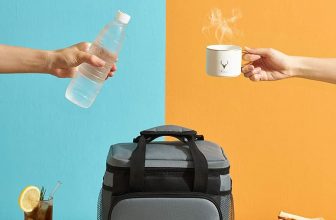 Insulated Lunch bag – $10