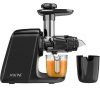 Masticating Juicer – $44