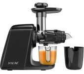 Masticating Juicer – $44