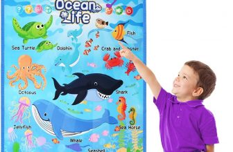 Interactive ocean life wall chart – $4+