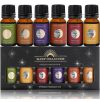 6pack fragrance oil diffuser – $5+