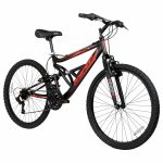Mountain bike – $89