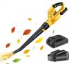 Cordless leaf blower – $28
