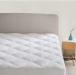 Queen Mattress topper – $20