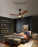 Ceiling fan with lights – $102