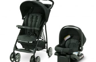 Graco Stroller with car seat – $99