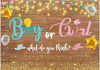 Gender reveal banner – $5
