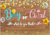 Gender reveal banner – $5
