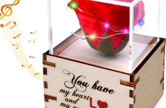 Valentine day gift – $6