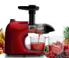 Slow masticating juicer – $45