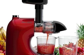 Slow masticating juicer – $45