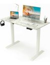 Electric Standing Desk – $110