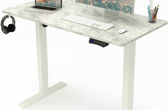 Electric Standing Desk – $110