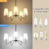 5 light chandelier – $40