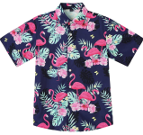 Boys Hawaiian shirt – $9+