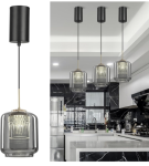 LED 2 pack pendant light – $8+