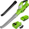 Cordless Leaf blower – $35