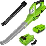 Cordless Leaf blower – $35