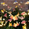 12 Butterfly solar lights – $9
