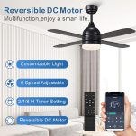 Ceiling fan with light – $40