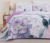 3pcs King Quilt set – $18